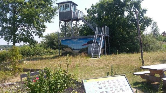 Enjoy Meer Und See Ferienhaus -In Lauwersoog- 1-6 Pers- 3 Schlafzimmer- Fruehes Einchecken Ab 14 Uhr Esterno foto
